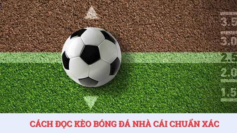 Hướng dẫn cách đọc kèo bóng đá đơn giản cho tân thủ SOC88
