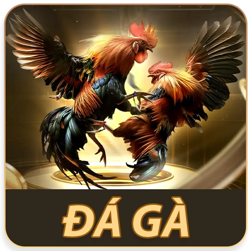 đá gà soc88