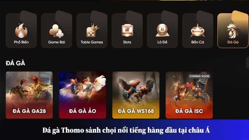 Đá gà Thomo sảnh chọi nổi tiếng hàng đầu tại châu Á