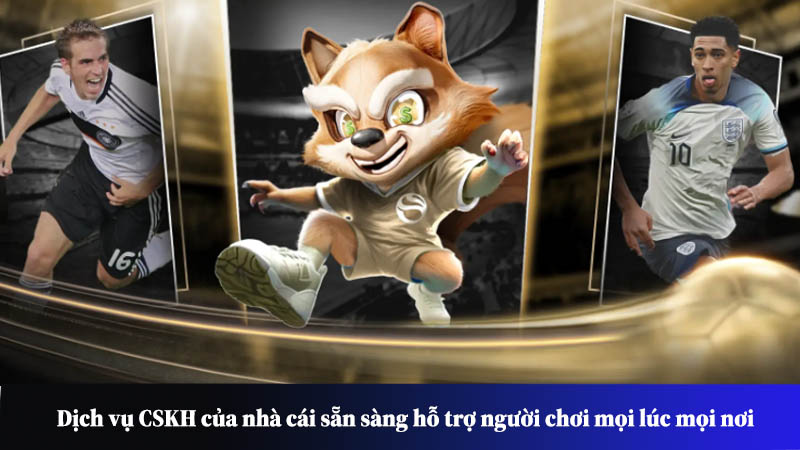 Dịch vụ CSKH của nhà cái sẵn sàng hỗ trợ người chơi mọi lúc mọi nơi