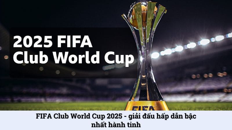 Fifa Club World Cup 2025 cá cược cực đỉnh tại nhà cái online SOC88