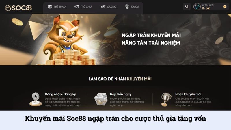 Khuyến mãi hoàn trả cho người chơi cược thua tại nhiều sảnh thể thao