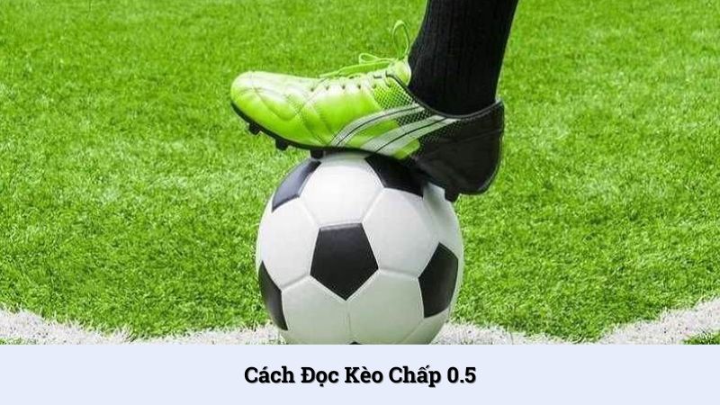 Kèo chấp 0.5 có cách đọc theo 3 trường hợp khác nhau