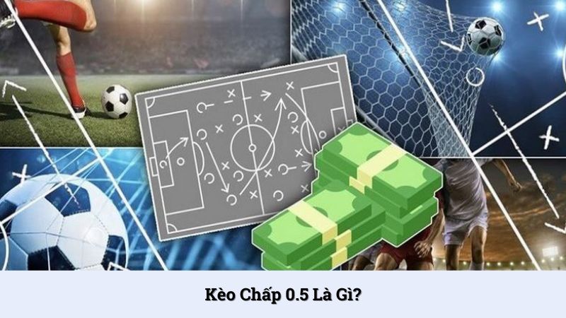 Chấp 0.5 là tỷ lệ kèo thể thao phổ biến