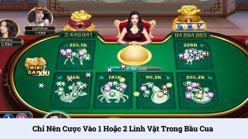 Bạn chỉ nên cược vào 1 hoặc 2 linh vật mỗi lần chơi