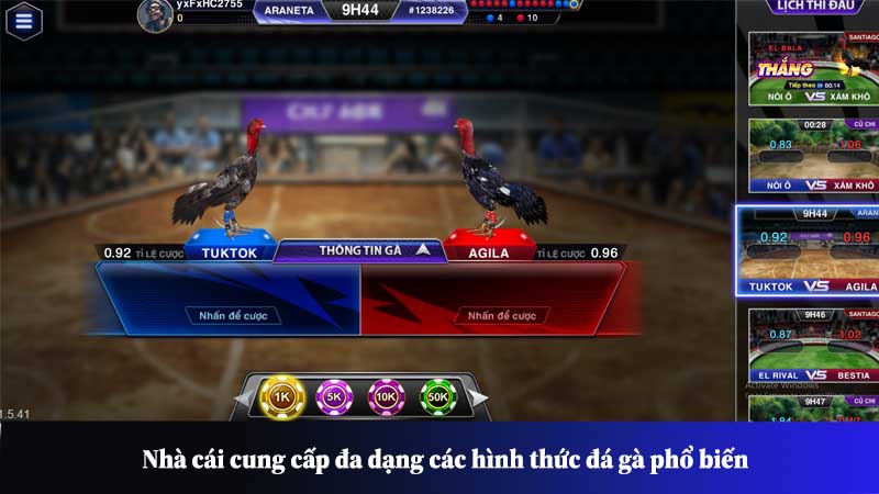 Nhà cái cung cấp đa dạng các hình thức đá gà phổ biến