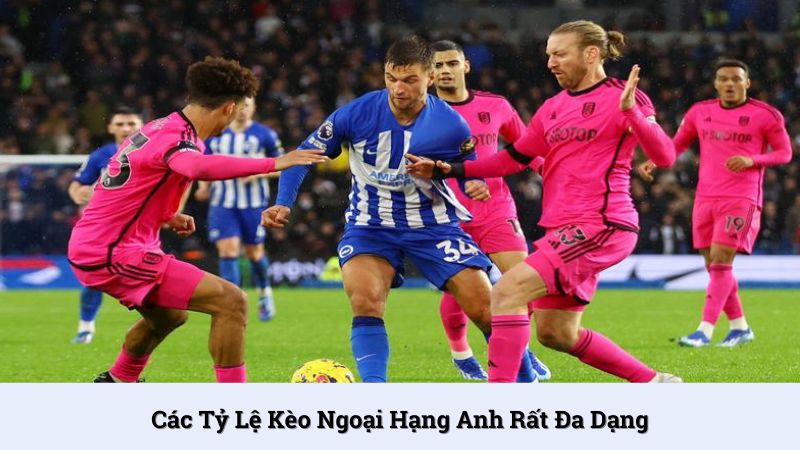 Tỷ lệ kèo nhà cái Ngoại Hạng Anh rất đa dạng