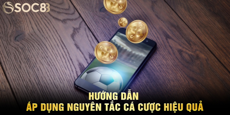 Hướng dẫn áp dụng nguyên tắc cá cược hiệu quả