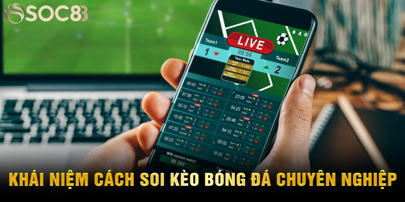Khái niệm cách soi kèo bóng đá chuyên nghiệp