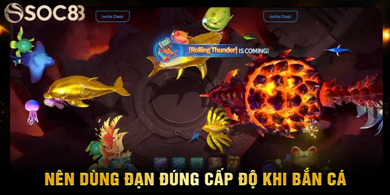 Nên dùng đạn đúng cấp độ khi bắn cá