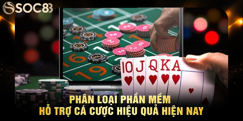 Phân loại phần mềm hỗ trợ cá cược hiệu quả hiện nay