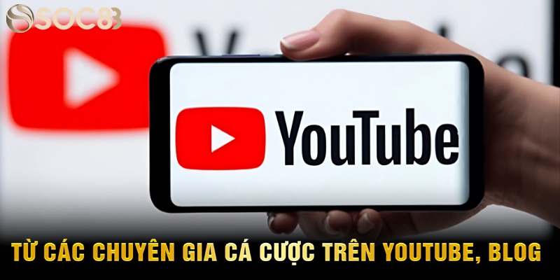 Từ các chuyên gia cá cược trên YouTube, blog